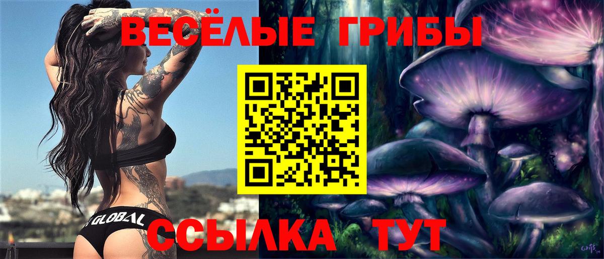 Псилоцибиновые грибы мицелий  наркошоп  Можайск  Вход с VPN 